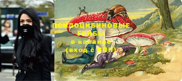 a pvp Гусь-Хрустальный