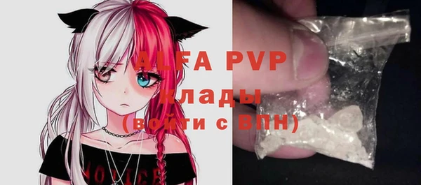 a pvp Гусь-Хрустальный