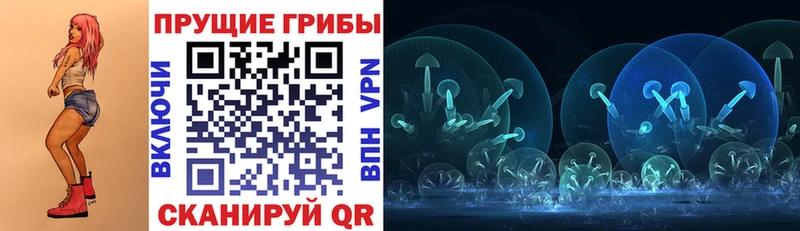 Псилоцибиновые грибы мицелий  Дмитровск 